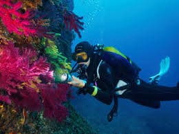 Buceo luna llena